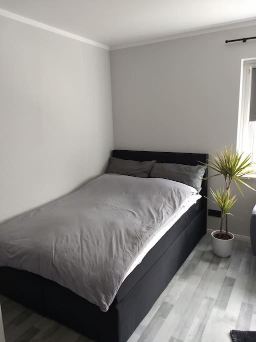 Apartment In Bremerhaven Zewnętrze zdjęcie